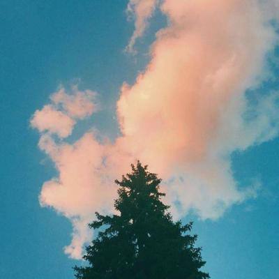 果盘深渊幻影变态版下载