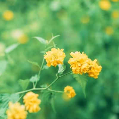 坦克天下官方正版下载